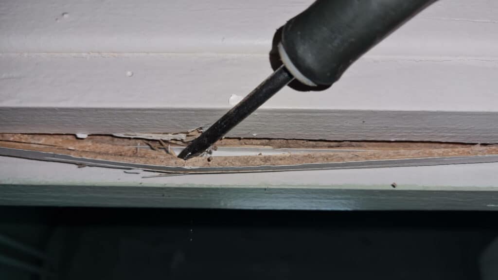 Photo de termite dans une maison